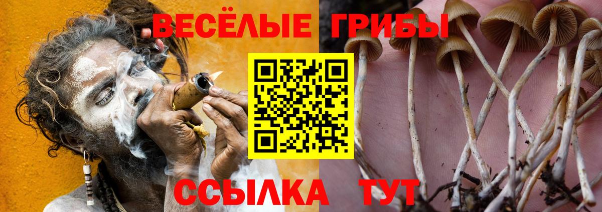 Галлюциногенные грибы ЛСД  закладка  Псилоцибиновые грибы мухоморы  Асбест  Вход с VPN 